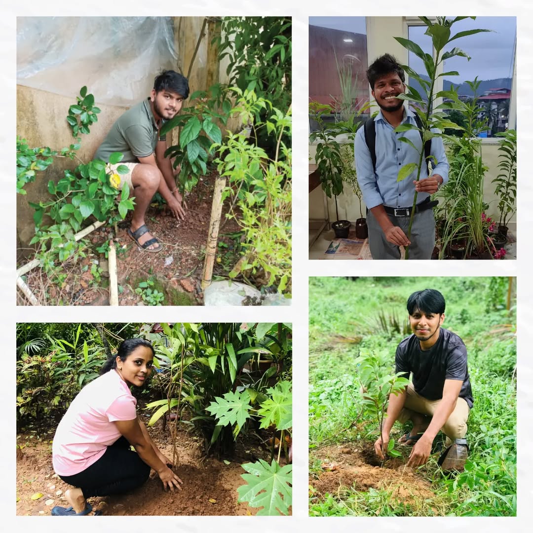 CodeMax team members planting trees